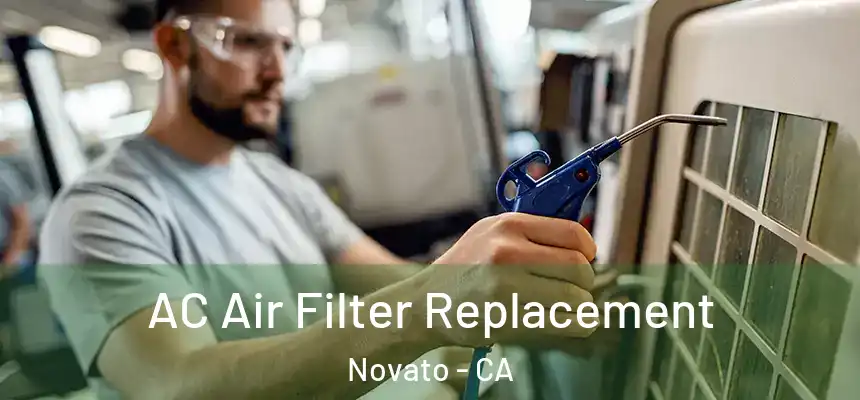  AC Air Filter Replacement Novato - CA