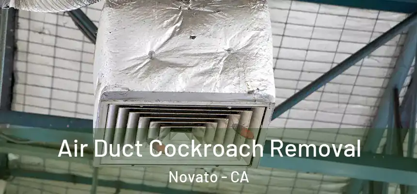  Air Duct Cockroach Removal Novato - CA