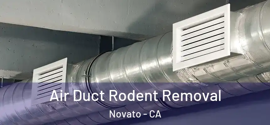  Air Duct Rodent Removal Novato - CA