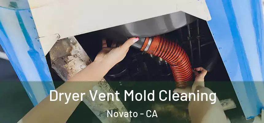  Dryer Vent Mold Cleaning Novato - CA