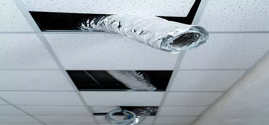 Our Air Duct Pet Hair Removal Services in Novato, CA