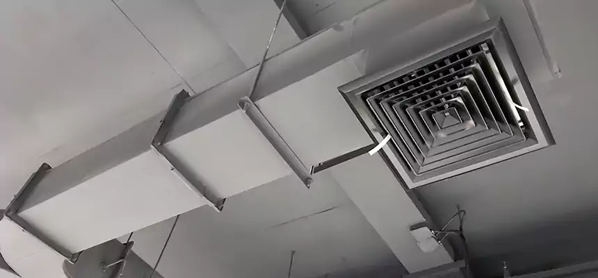 Restorative Allergy Relief Vent Cleaning – Coil, Blower & Housing Detail in Novato