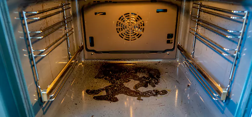 Our Dryer Vent Mold Cleaning Services in Novato, CA