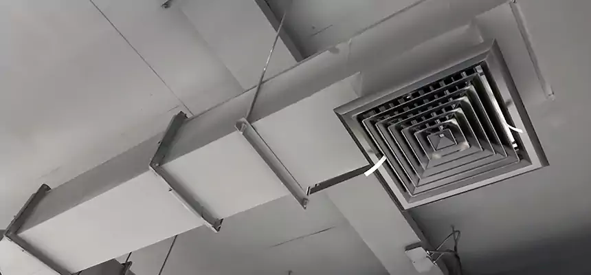 Our Rodent Droppings In Vents Services in Novato, CA