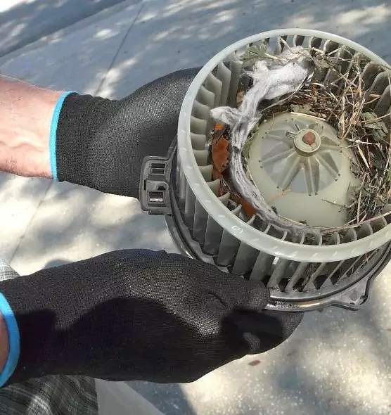 About Air Duct Mice Removal in Novato, CA