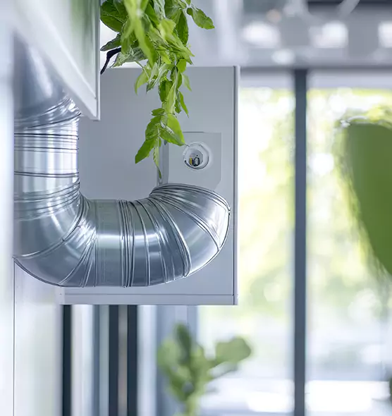 Professional Eco-Friendly Duct Cleaning Services in Novato, CA