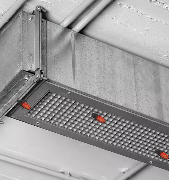 Affordable Insect Removal from Air Ducts in Novato, CA