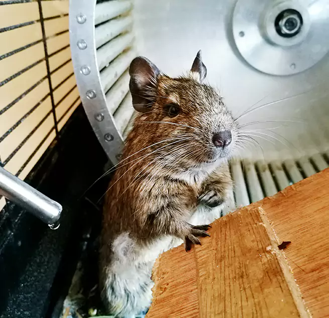 Why Homeowners & Businesses Trust Us Novato, CA