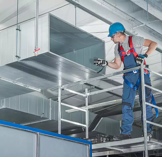 Why Homeowners & Businesses Trust Us in Novato, CA?