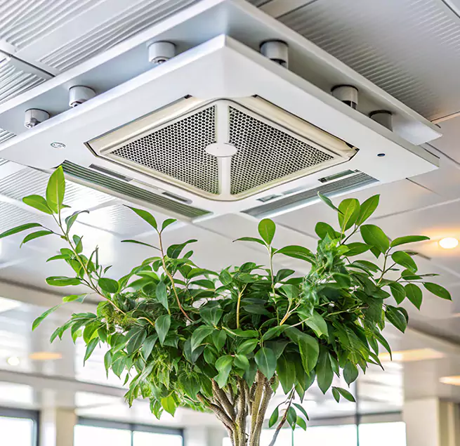 Why Homeowners & Businesses Trust Us in Novato, CA