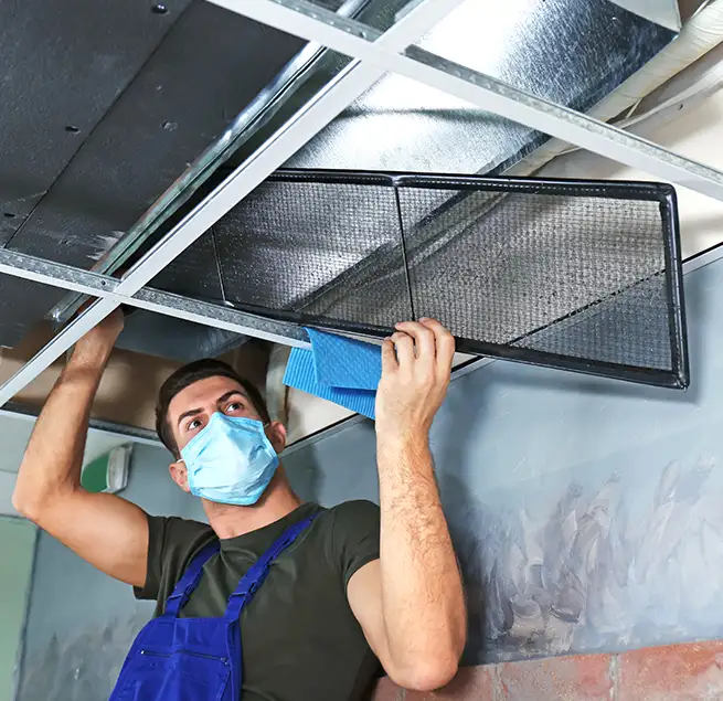 Why Homeowners & Businesses Trust Us in Novato, CA?